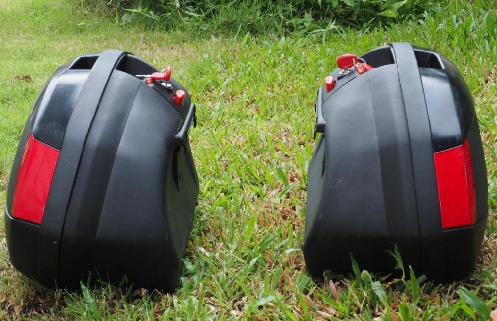 backs.jpg