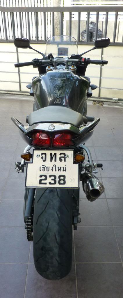 Backview.jpg
