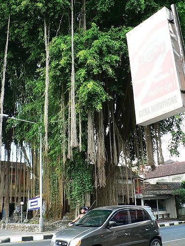 bali02.jpg