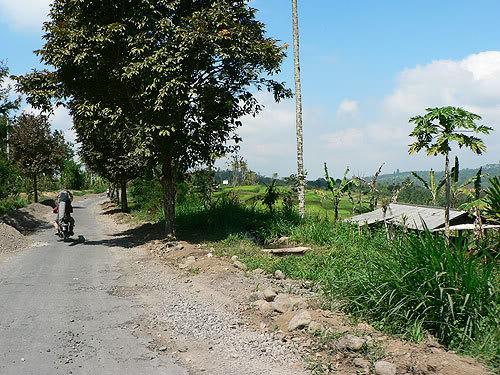 bali30.jpg