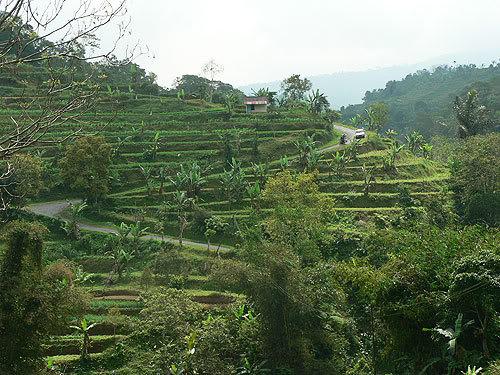 bali43.jpg
