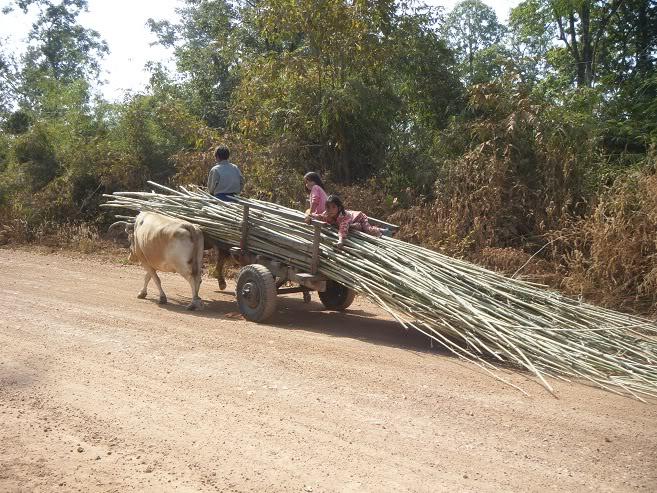 Ban-Lung-Cambobia18.jpg