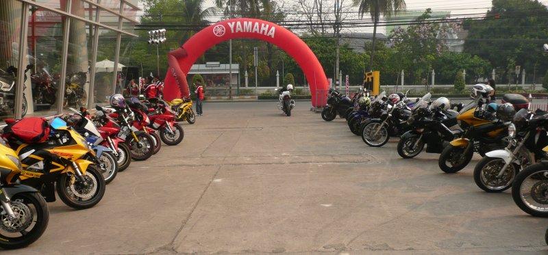 bike-line-up.jpg