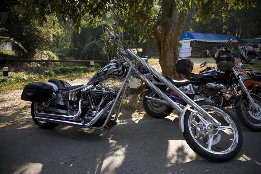 Bike40LR.jpg
