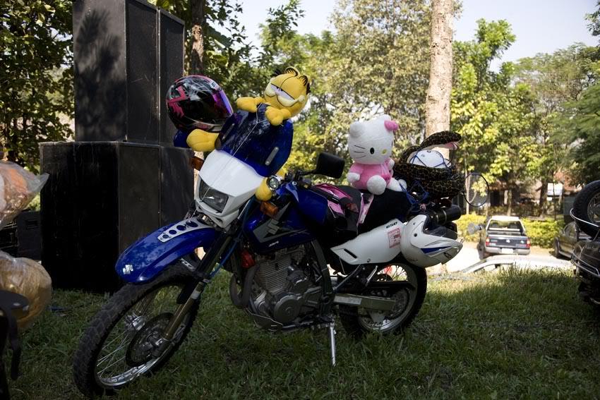 Bike4LR.jpg