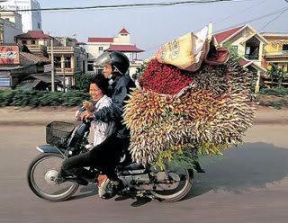 bike_burden-flowers.jpg
