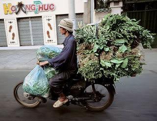 bike_burden-veggies.jpg