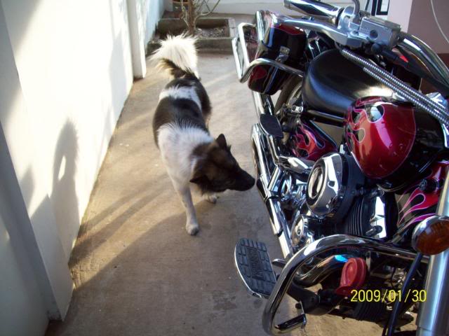 Bikerepaired.jpg
