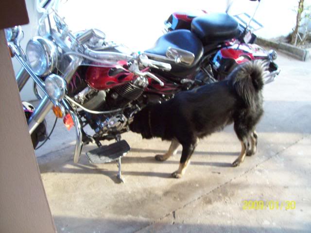 BikeRepaired2.jpg