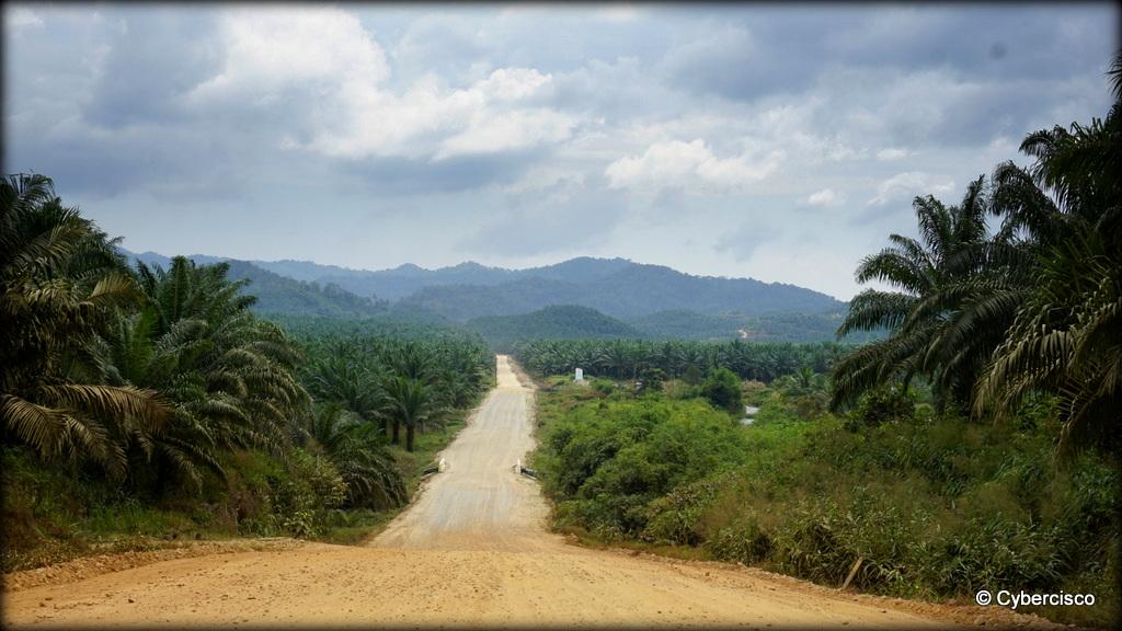 Bokpyin-Kawthaung-013.jpg