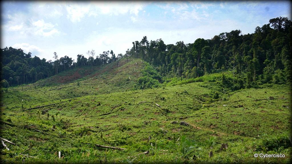 Bokpyin-Kawthaung-015.jpg