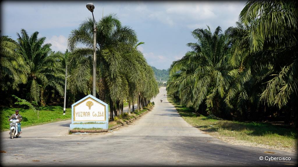 Bokpyin-Kawthaung-017.jpg