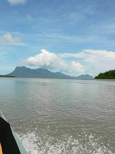 borneo10.jpg