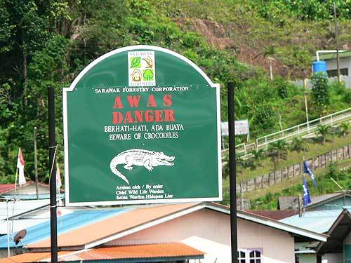 borneo15.jpg
