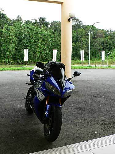 borneo30.jpg