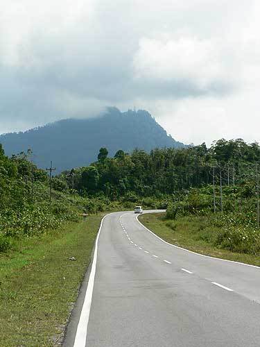 borneo36.jpg
