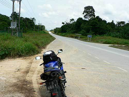 borneo40.jpg