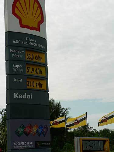 borneo43.jpg