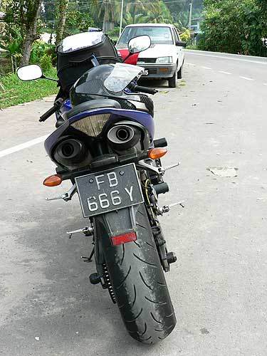 borneo53.jpg