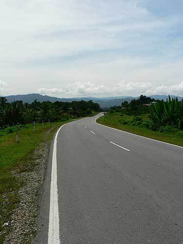 borneo54.jpg