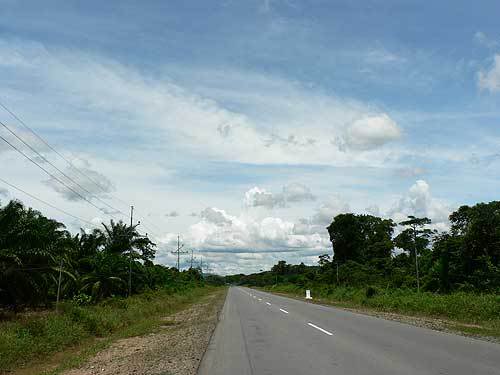 borneo56.jpg