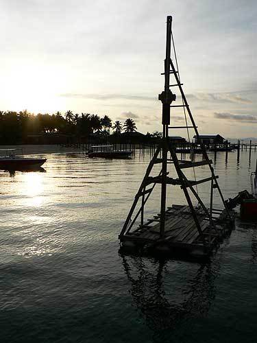 borneo72.jpg