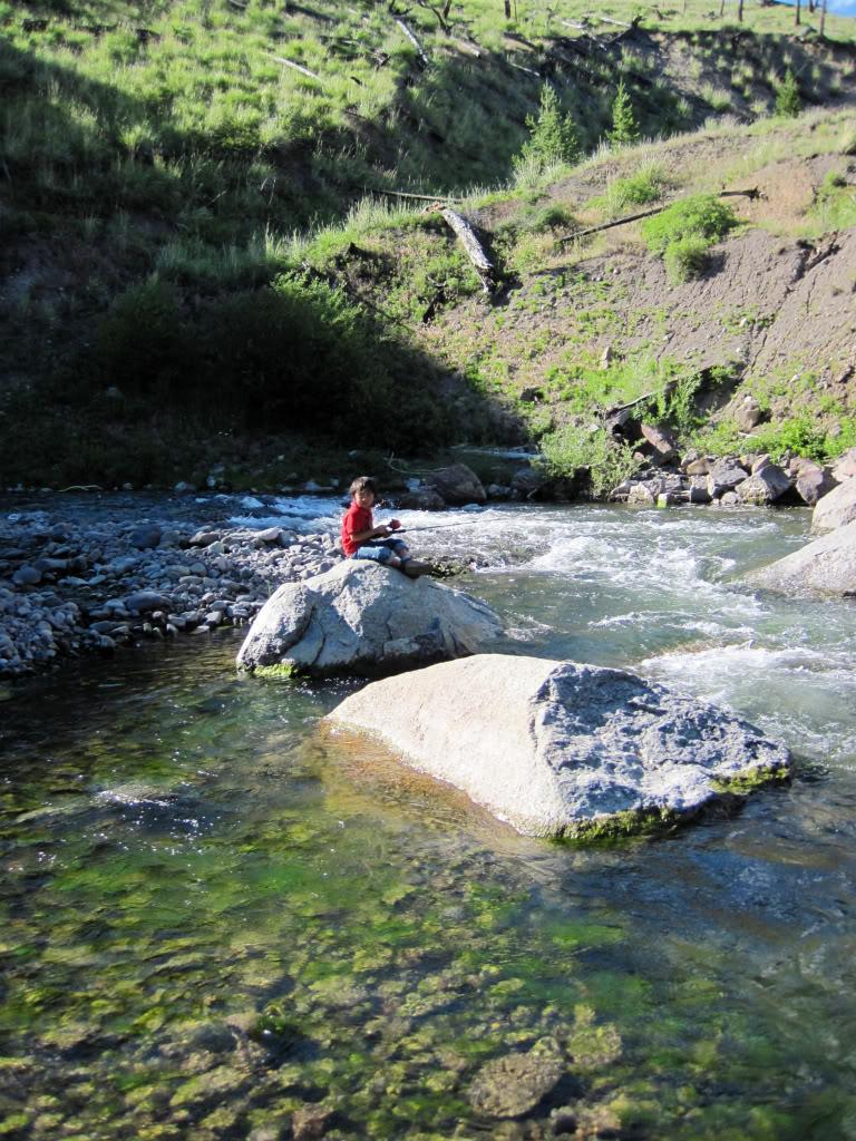 c6329401.jpg