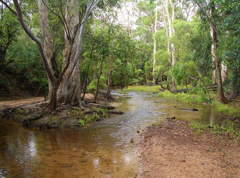 capeyork-092.jpg