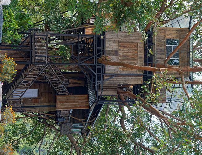 chaeson-park-tree-house-small.jpg