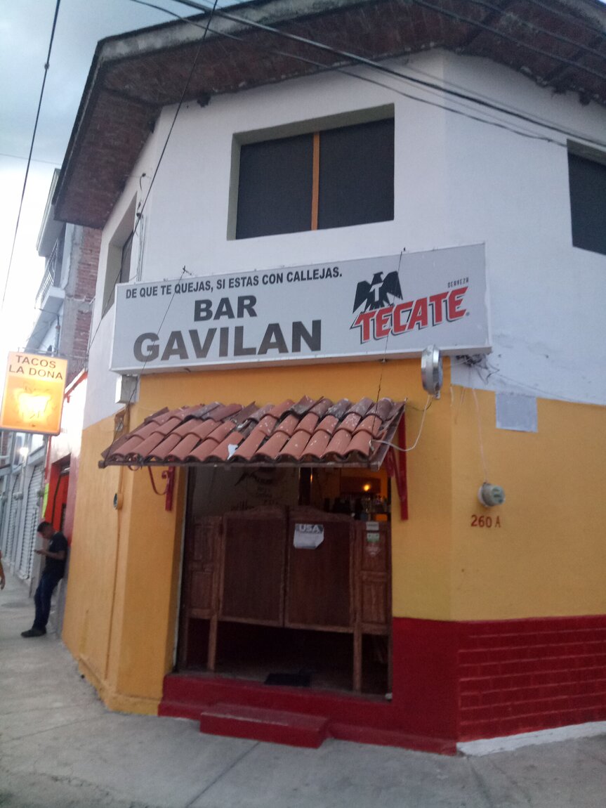 Chapala4.jpg