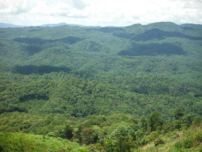 Chiang%20mai%20Pai%20Thailand%2012.jpg