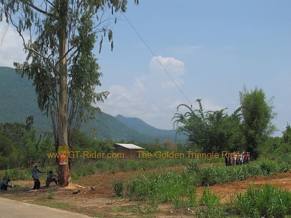 chiang-dao-001.jpg