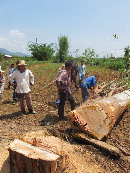 chiang-dao-003.jpg