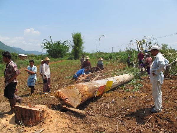 chiang-dao-004.jpg