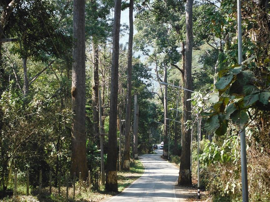Chiang Dao (1).JPG