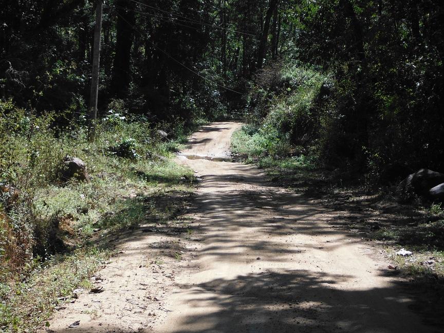 Chiang Dao (21).JPG