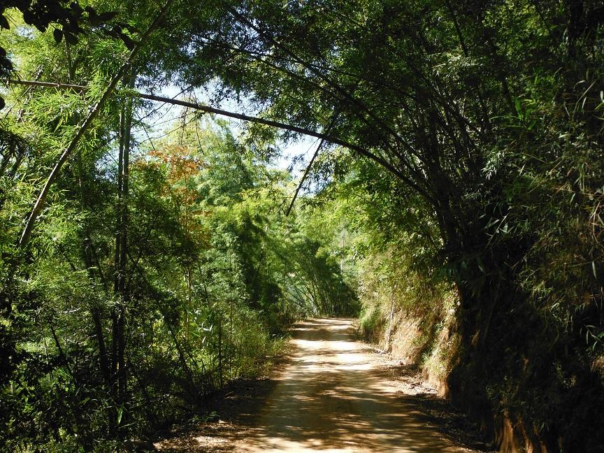 Chiang Dao (23).JPG