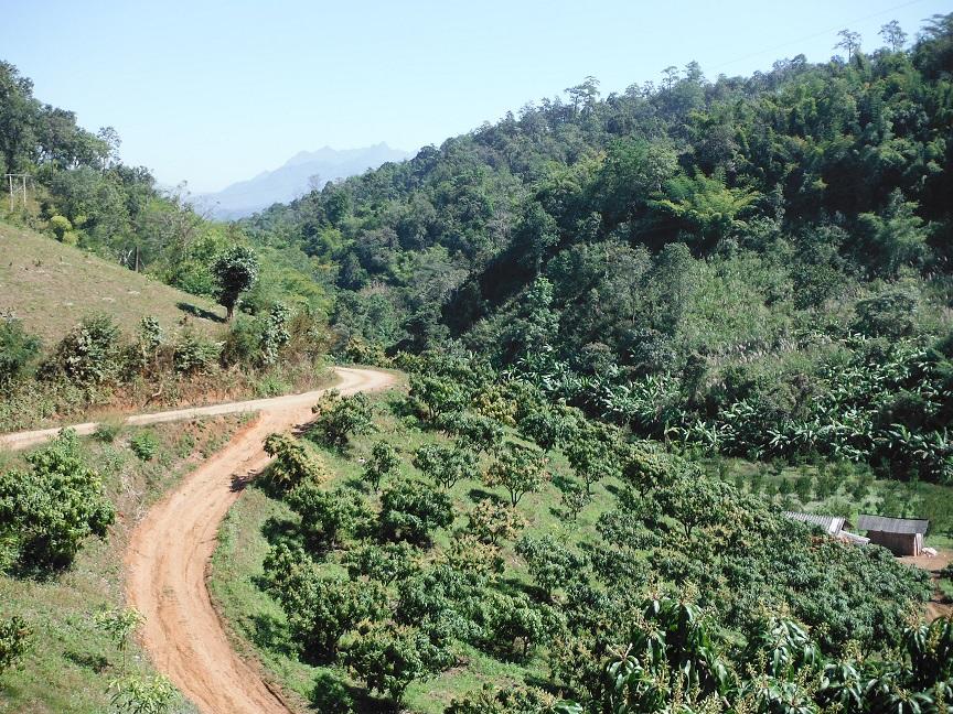 Chiang Dao (25).JPG