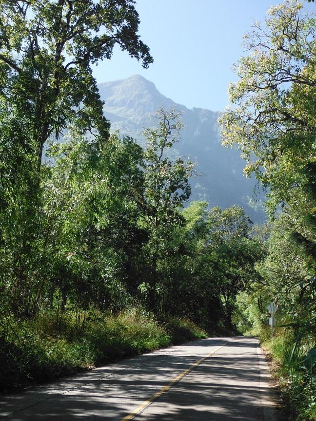 Chiang Dao (8).JPG