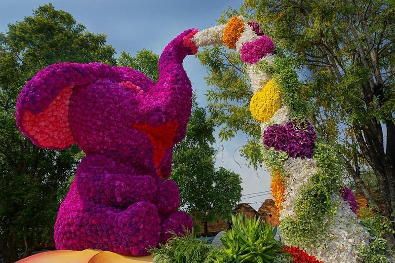 chiang-mai-flower-festival-07-small.jpg