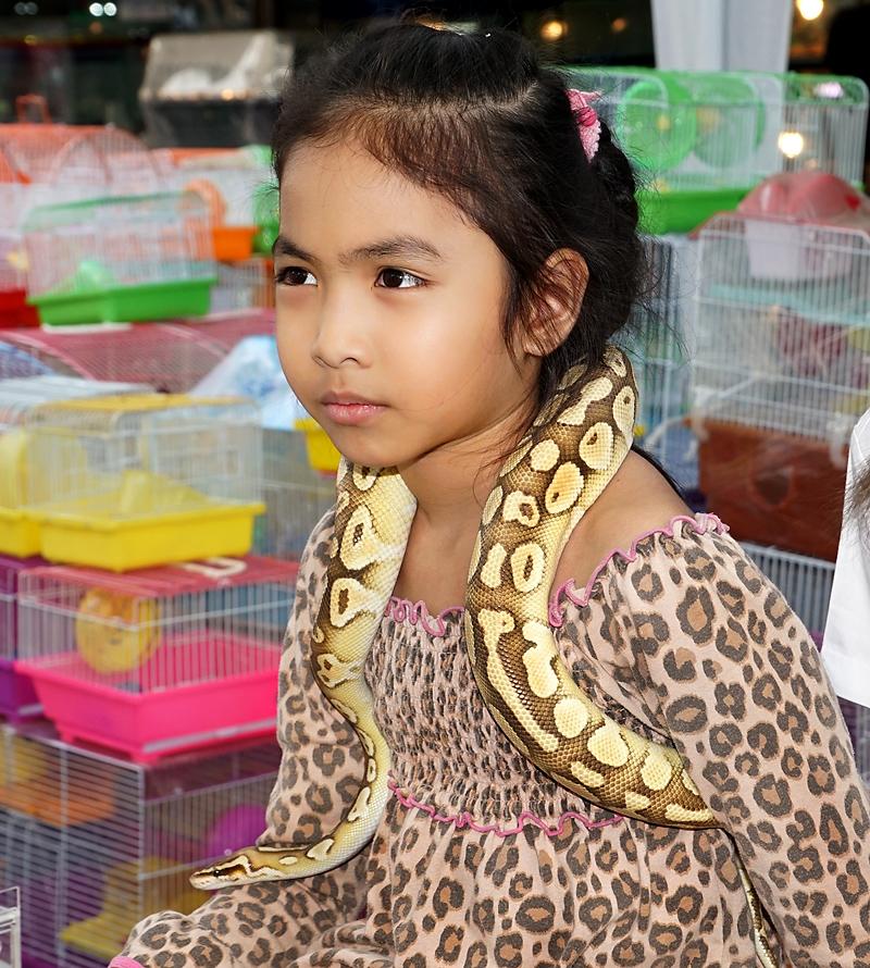 chiang-mai-snake-child-small.jpg
