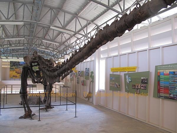 chiang-muan-dinosaur-park-006.jpg