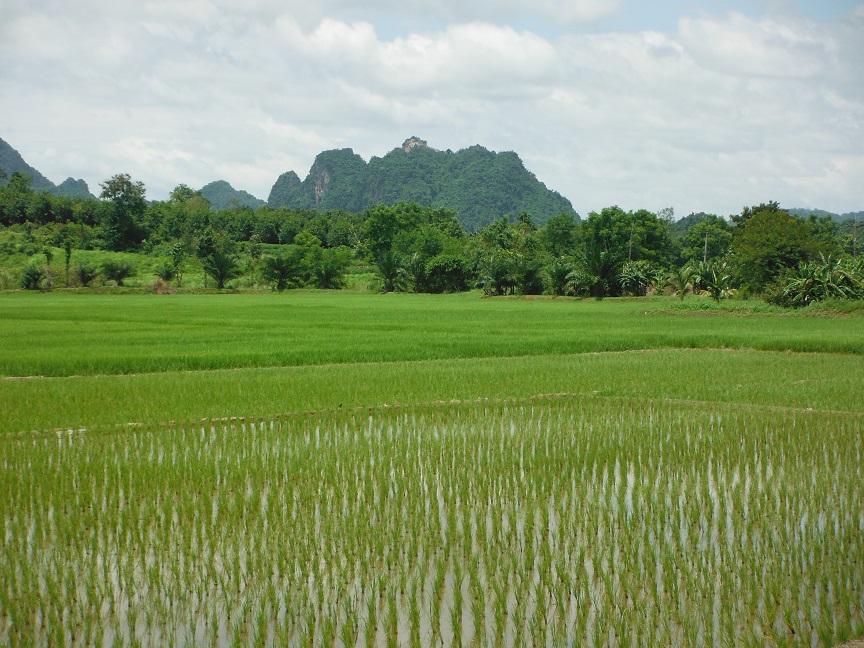 Chiang Rai  (1).JPG