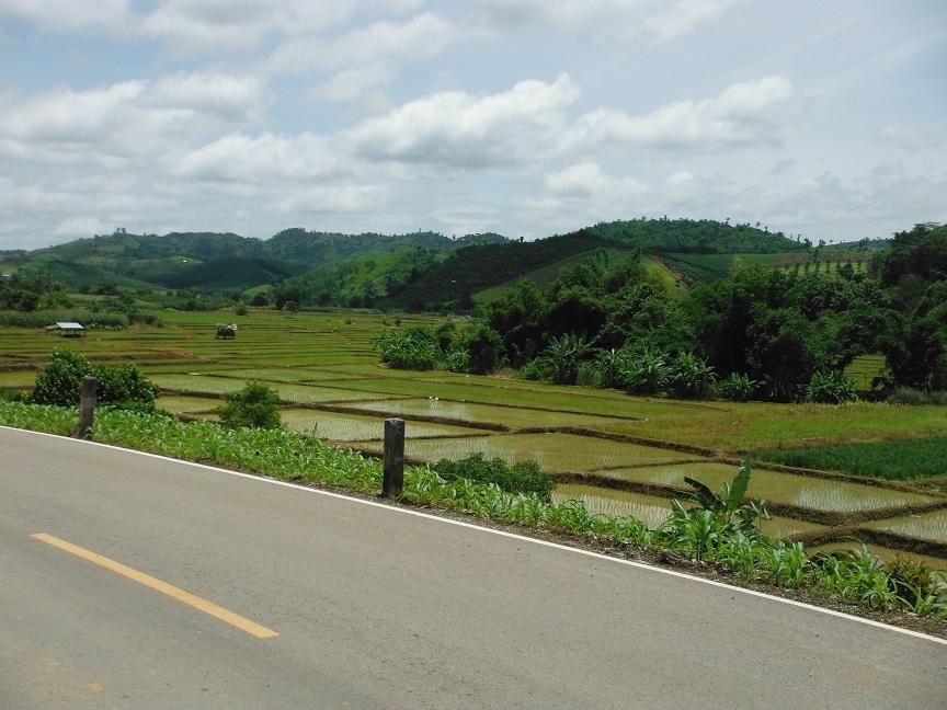 Chiang Rai  (3).JPG