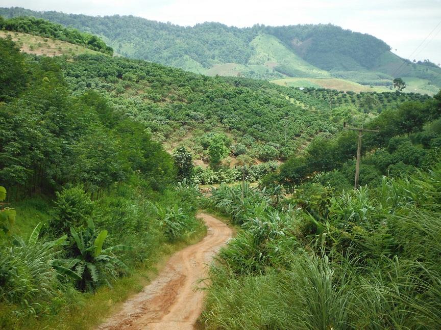 Chiang Rai  (8).JPG