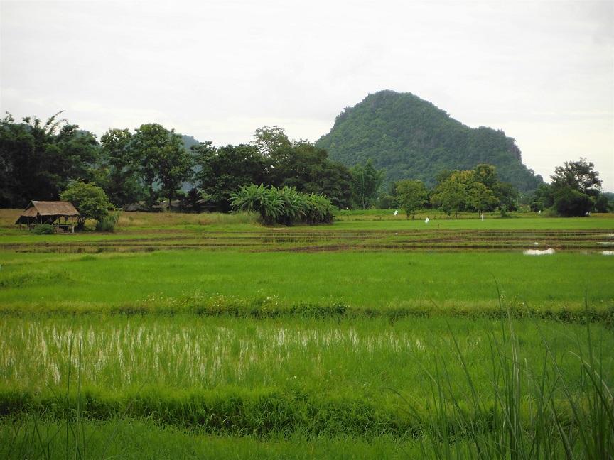 Chiang Rai Wawi Dirt Ride (1).JPG