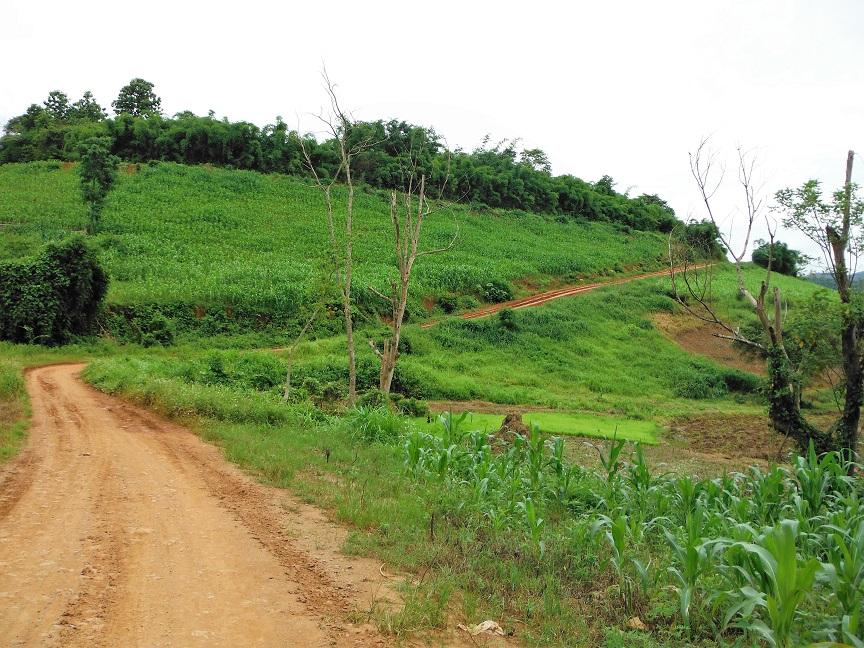 Chiang Rai Wawi Dirt Ride (10).JPG