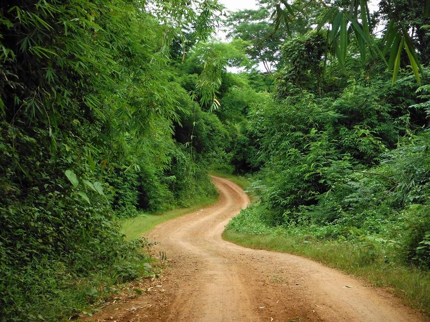 Chiang Rai Wawi Dirt Ride (15).JPG