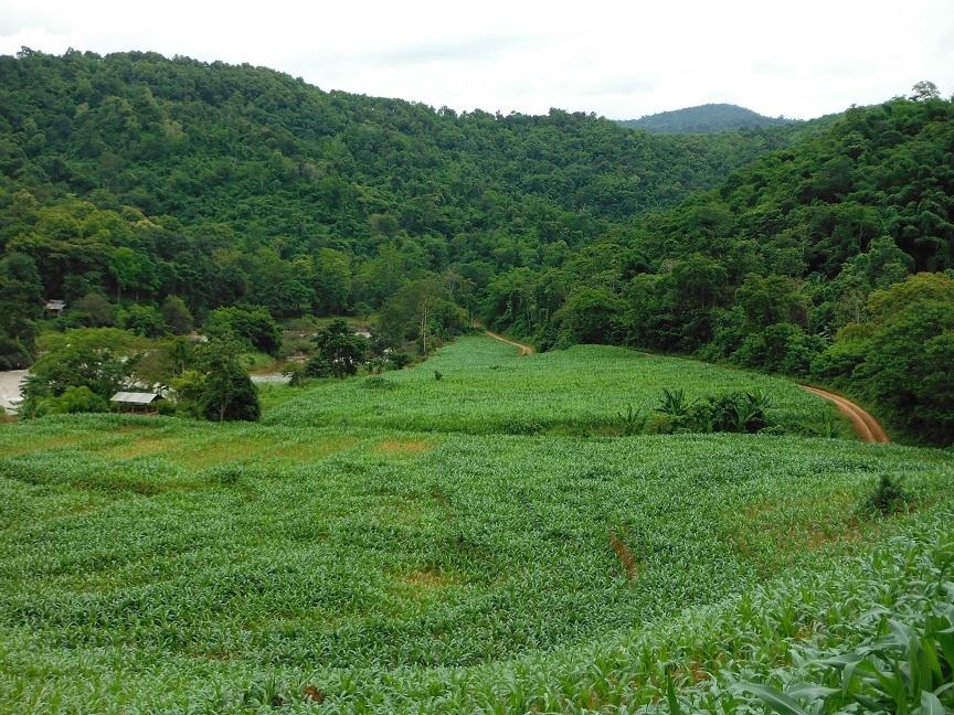 Chiang Rai Wawi Dirt Ride (16).JPG