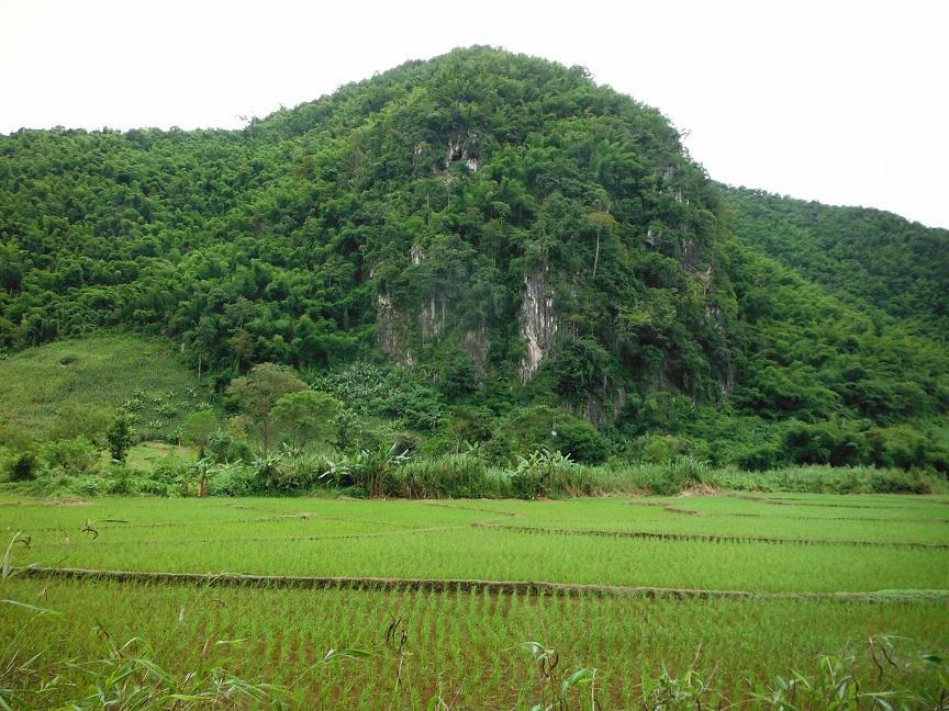 Chiang Rai Wawi Dirt Ride (19).JPG